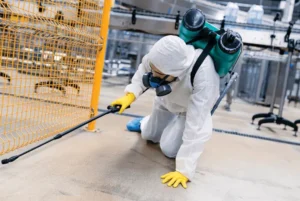 Termite Control