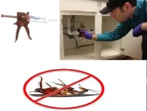 Cockroach Control