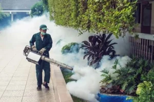 Public Health Fogging Campaign