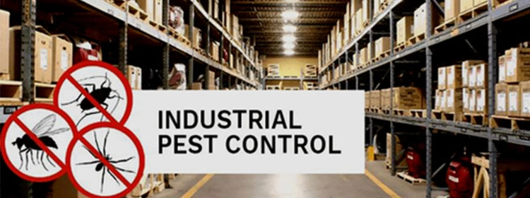 Industrial Pest Management