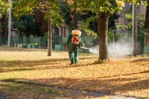Public Park Vector Control